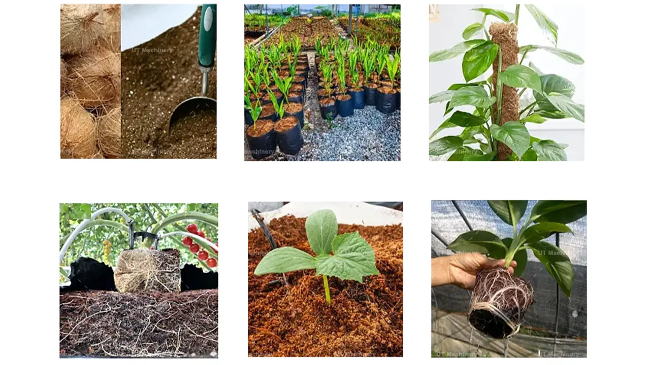 Aplicaciones hortícolas de bloques de turba de coco comprimidos para cultivo en invernadero, hidroponía y macetas de semillero